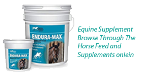 horse supplements